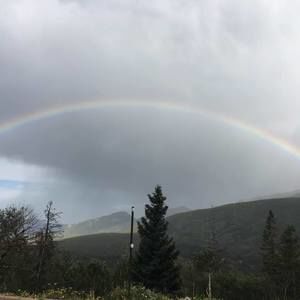 Meet your Posher, Cecilia